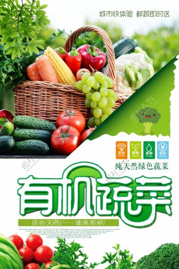 绿色蔬菜食品海报设计.psd