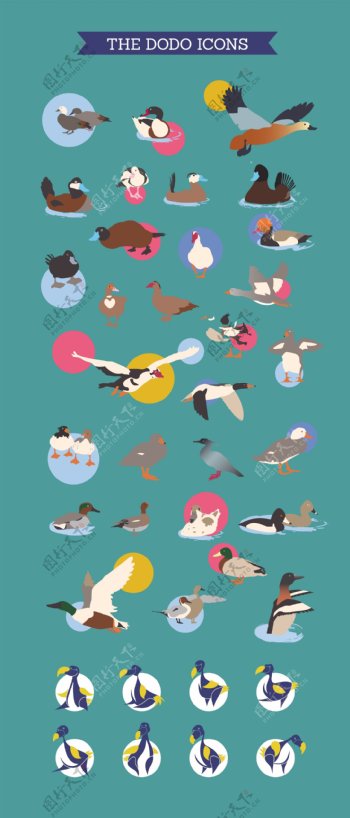 矢量元素彩色海报杂志素材鸟类介绍教育背景