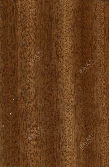 常用的木竖纹理榉木材质贴图