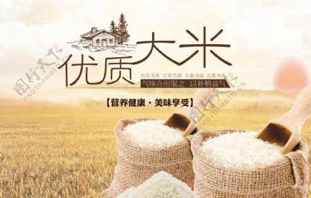 大米优质大米东北大米稻米