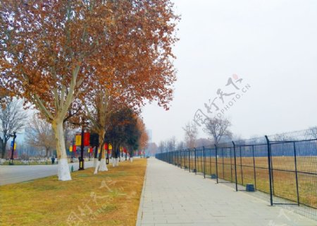 深秋时节的公园风景