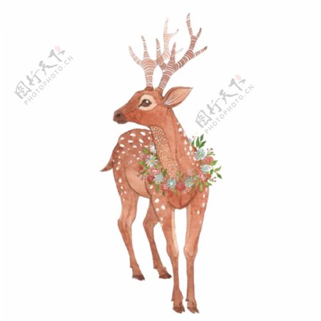 手绘水彩森林鹿麋鹿素材