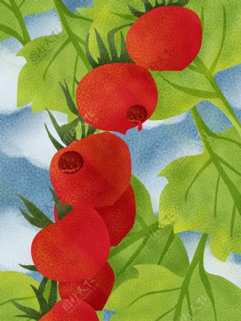 手绘质感西红柿背景设计