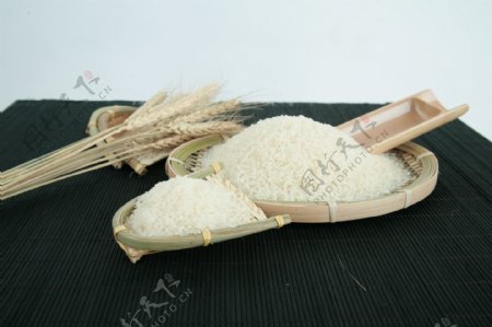 五常稻花香米大米
