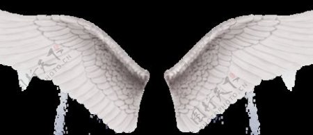 翅膀免抠羽毛透明素材