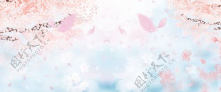唯美小清新樱花节蓝色水彩背景