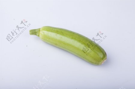 常见瓜果蔬菜之西葫芦3