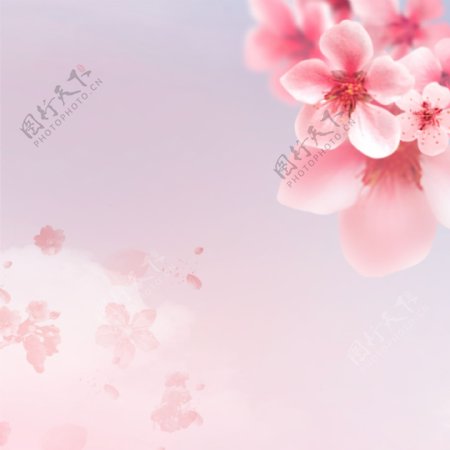 粉色玫瑰花朵母亲节PSD分层主图背景素材