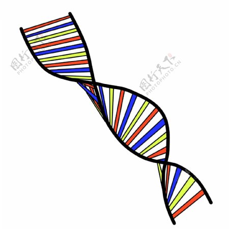 彩色DNA遗传螺旋图
