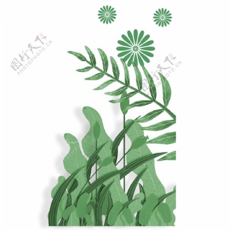 绿色创意热带植物元素