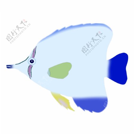 卡通蓝色扁平化的鱼儿