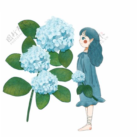 蓝色绣球花儿与美少女