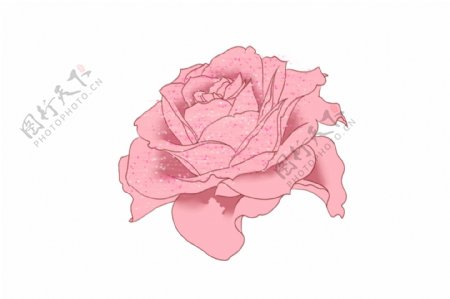 粉色手绘花花朵插画美丽的花朵