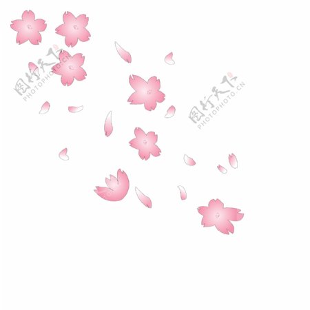 樱花花瓣漂浮元素