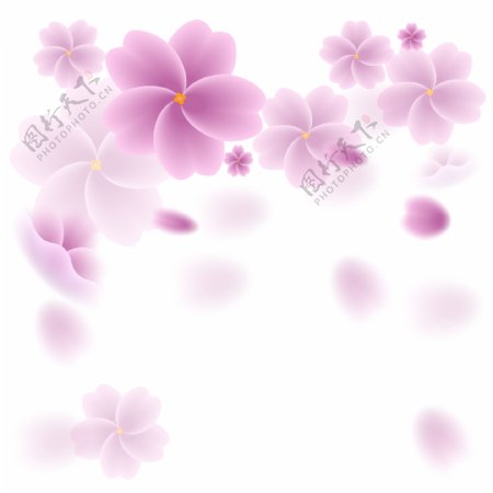 粉色系漂浮桃花花瓣花朵手绘