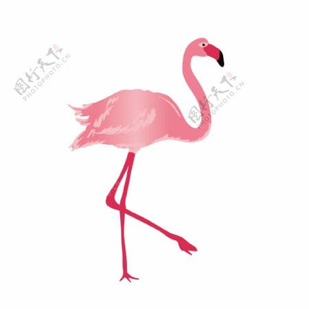 粉色火烈鸟装饰元素