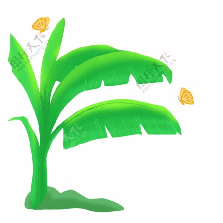 绿色芭蕉树蝴蝶装饰素材