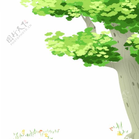 夏日植物树木插画