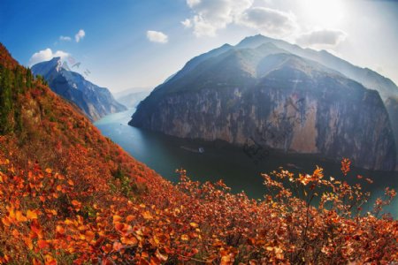 瞿塘峡三峡风景红叶