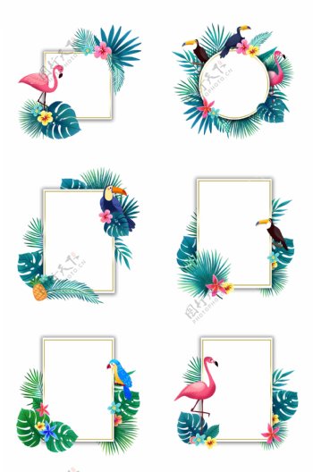 夏季热带植物和鸟类边框组图