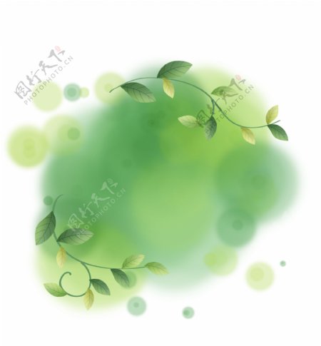 夏季淡彩绿色植物水墨文字框