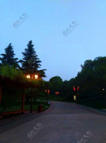 夜色下的公园风景