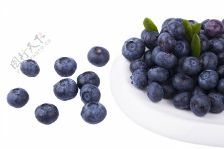 纯天然蓝莓好吃营养