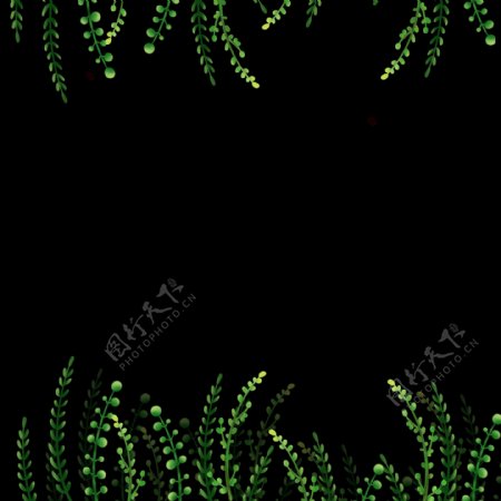 清新绿色树枝装饰png免抠图