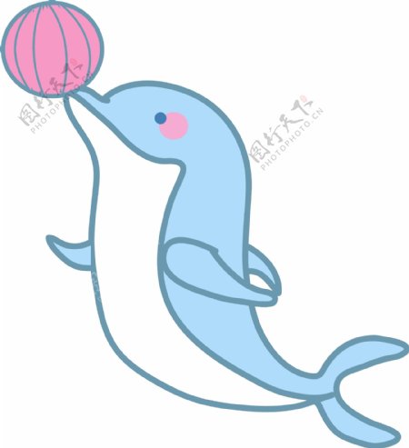玩球的海豚