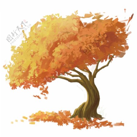 手绘秋天的大树素材