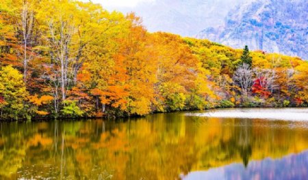 秋天的湖泊