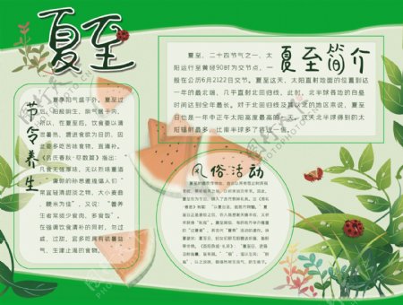 夏至手抄报