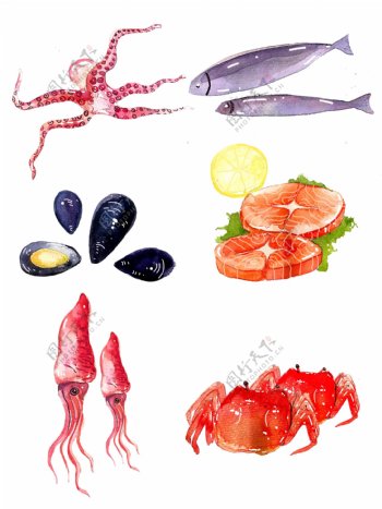 海鲜食材手绘海鲜食材水彩食材立冬海鲜食材