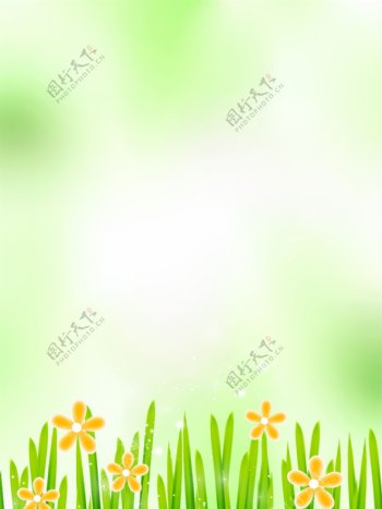 背景绿色小花