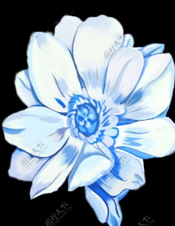 手绘蓝色花卉