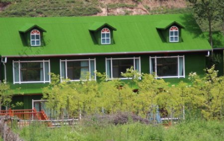 绿色房子绿色植物