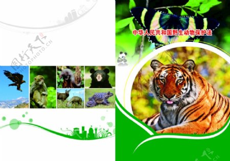 中华人民共和野生动物保封面