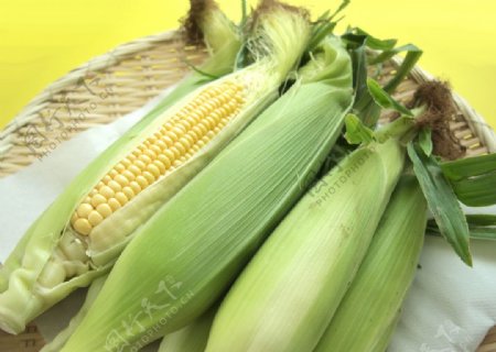 新鲜的玉米