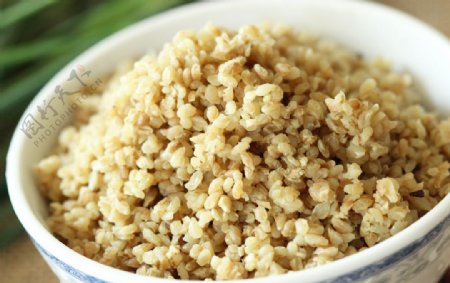 苦荞米饭荞麦饭