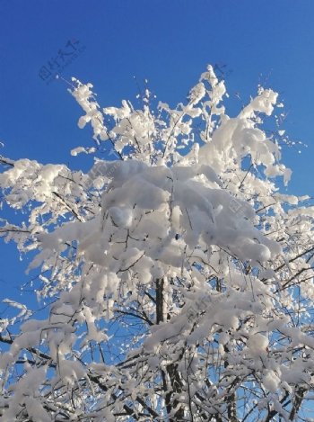 藍(lán)色天空