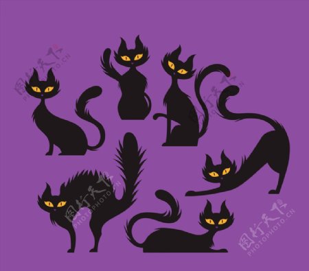 6款创意黑猫设计