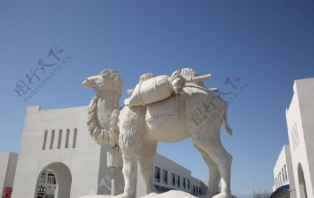 骆驼雕像