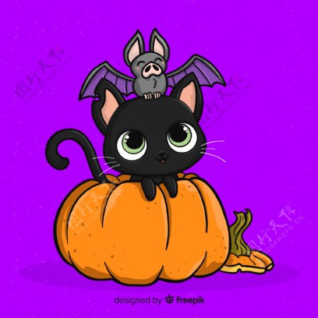 可爱万圣节南瓜上的黑猫和蝙蝠