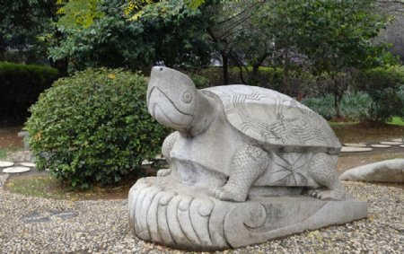 石雕乌龟