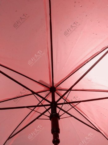 高级粉色伞背景图