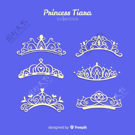 美丽公主王冠紫色