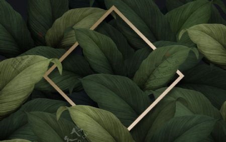 植物装饰边框素材