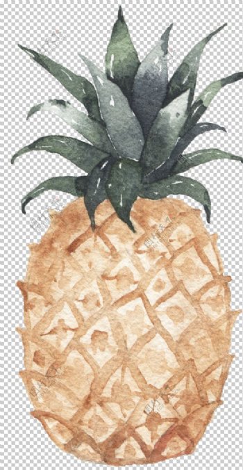 水果菠萝插画图案