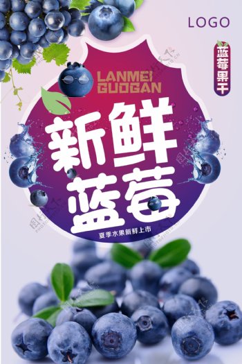 夏季新鲜蓝莓海报设计