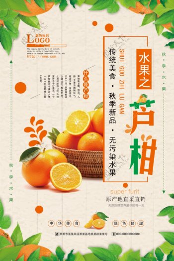 新鲜水果芦柑海报